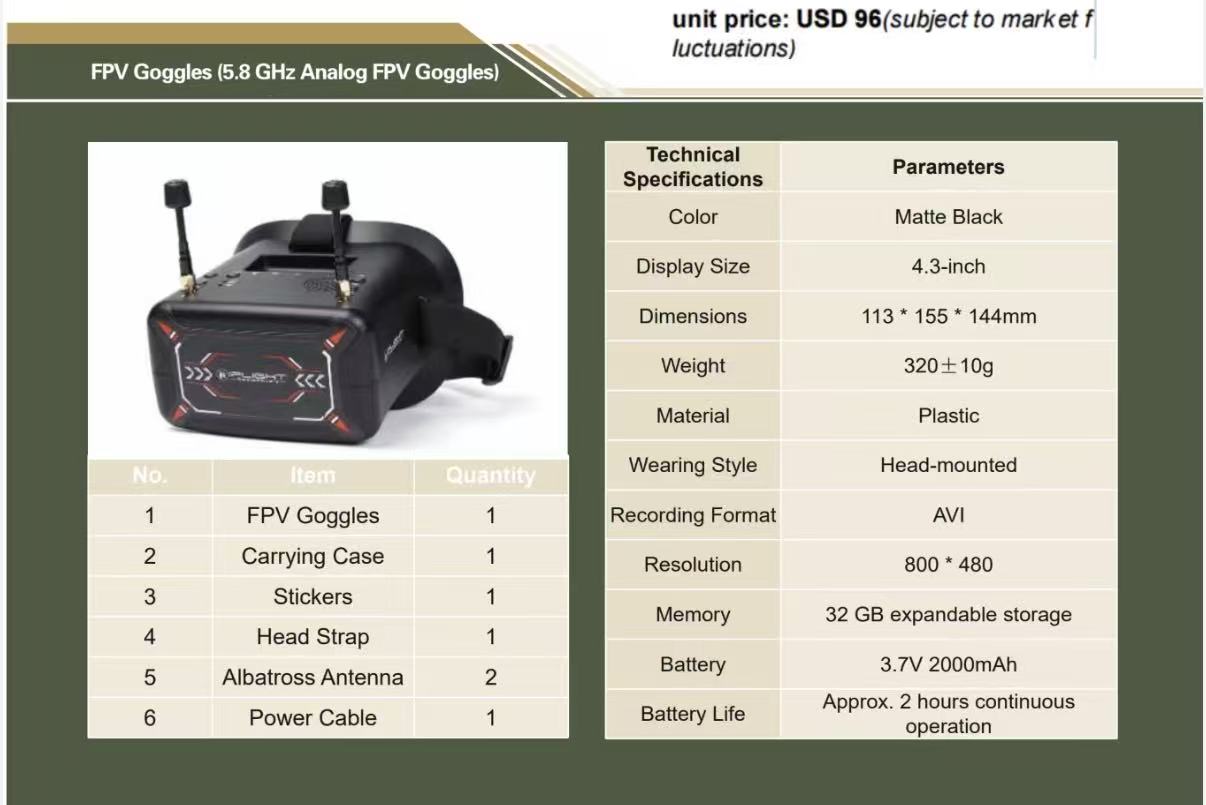 FPV Goggles